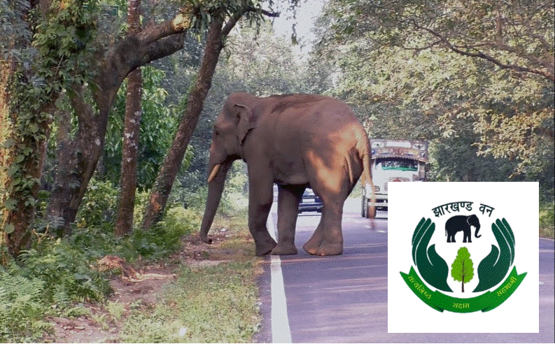 Jharkhand launches mobile app to track jumbo movements